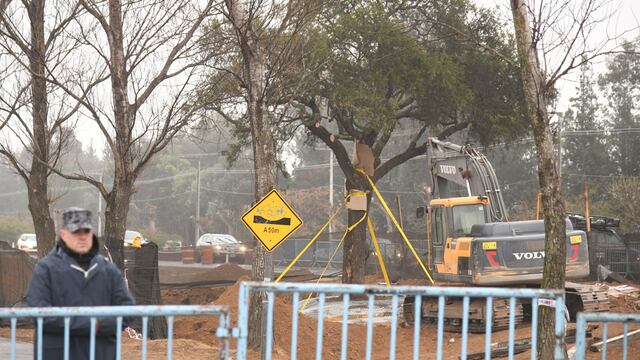Quebracho de la Avenida Luchesse. Sigue la protesta por el traslado del árbol.  (Pedro Castillo / La Voz)