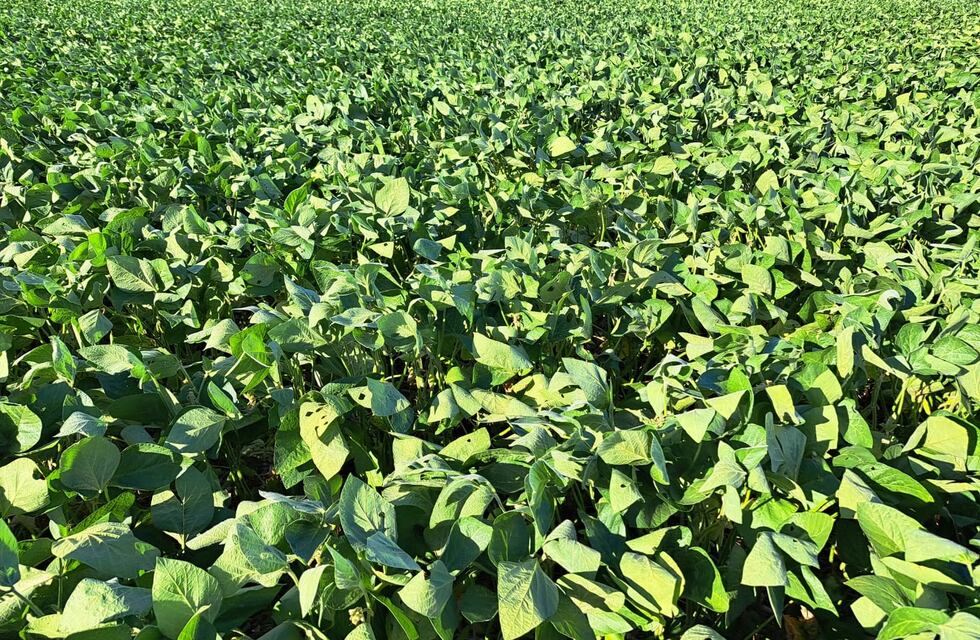 Quiso mostrar el campo de Córdoba donde se crió, pero tuvo un inesperado accidente: “Mirá, el paraíso”