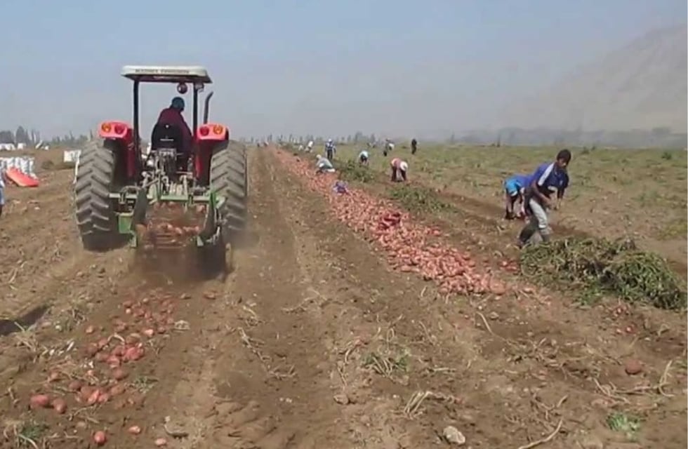 Colchones en el piso, baño sin techo y maltrato: el calvario que vivían 17 personas en Córdoba