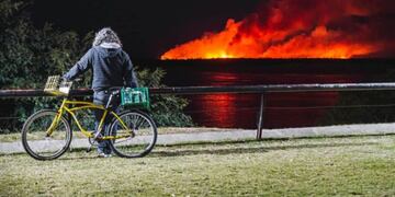 El fuego no para y ambientalistas exigen la ley de humedales.