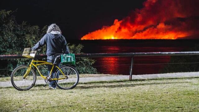 El fuego no para y ambientalistas exigen la ley de humedales.
