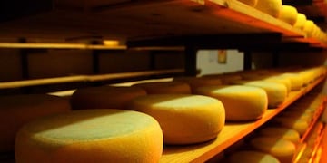 Así es la producción del queso banquete de Tandil