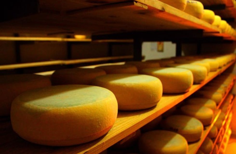 La industria del queso en Tandil tendrá capacitaciones a cargo de Nación