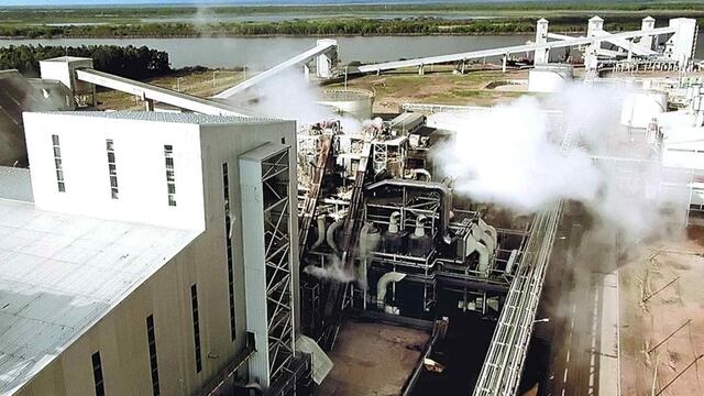 Banco Nación cuestionó el pedido del juez para que Vicentin haga una nueva propuesta de pago