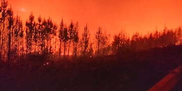 Los bosques están siendo arrasados por el fuego en Chubut.