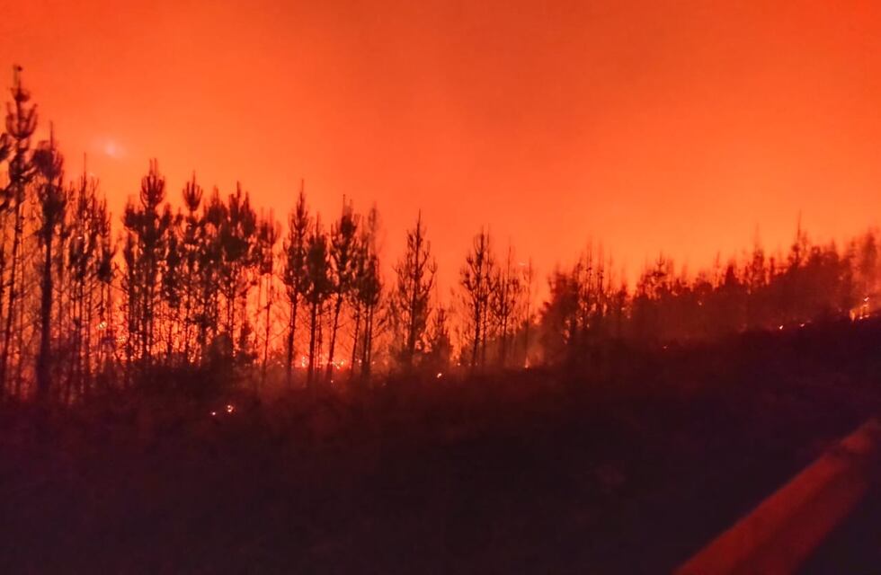Impactantes imágenes del incendio en el límite entre Chubut y Río Negro