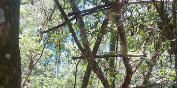 Desmantelan campamentos de furtivos en Colonia Wanda.