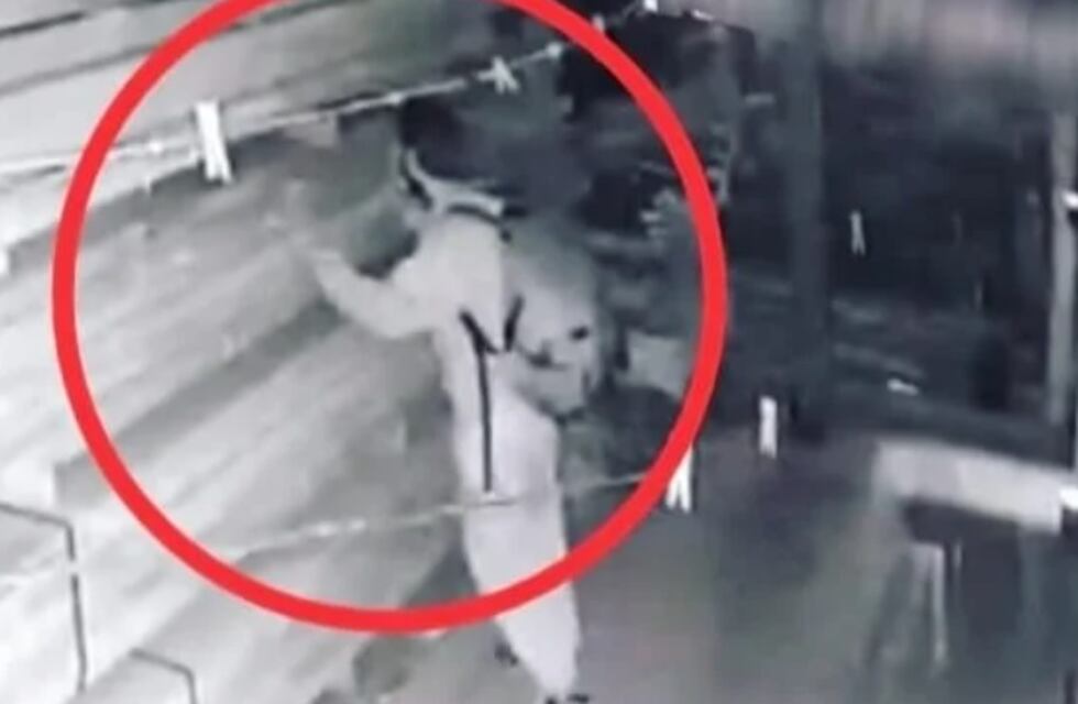 Joven fue captado por las cámaras cuando intentaba robar en una mueblería