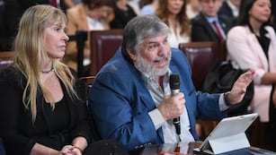 “Hacen lo que se les canta las pelotas”: el cruce entre Bullrich y Mayans en el debate por la reforma laboral. (Fotos: Mario Mosca/Comunicación Senado)