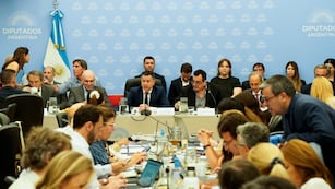Continúa el debate de la ley ómnibus en Comisiones.