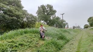 Desmalezado en Rafaela