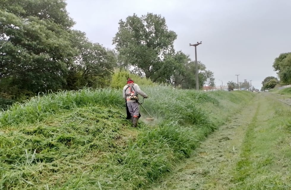 Desmalezado en espacios verdes y lotes en infracción