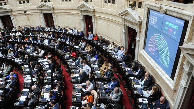 Diputados debate y votación de la Ley de Bases 
Congreso , Argentina
Foto Federico Lopez Claro