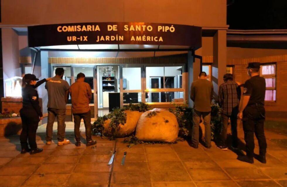 Frustran robo de hoja verde en Santo Pipó