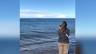 Una fotógrafa española viaja por el mundo y vino a Argentina para conocer a las ballenas en Puerto Madryn.