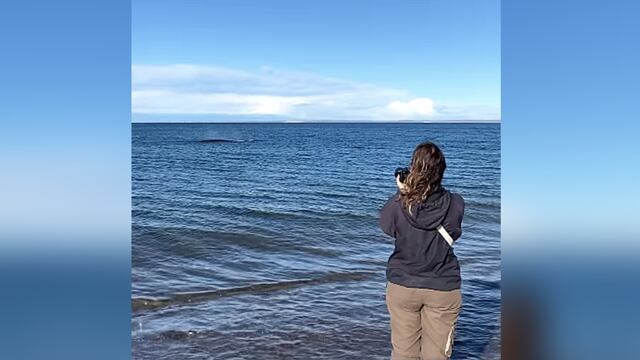 Una fotógrafa española viaja por el mundo y vino a Argentina para conocer a las ballenas en Puerto Madryn.