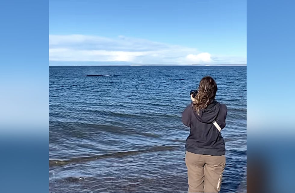 Video: viajó desde España hasta Chubut para conocer a las ballenas y logró captar un momento único