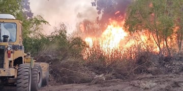 Maquinaria pesada abrió picadas cortafuegos para evitar que avanzaran las llamas hacia áreas residenciales en Valle Grande.