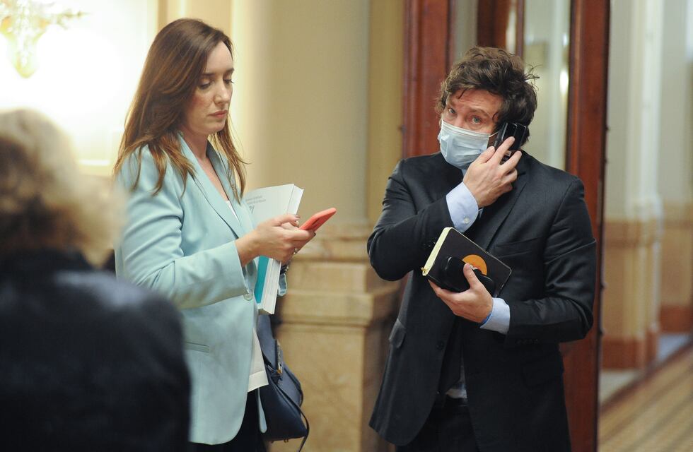 Eliminación de las PASO: por qué Javier Milei y otros dos liberales podrían ser decisivos para la medida