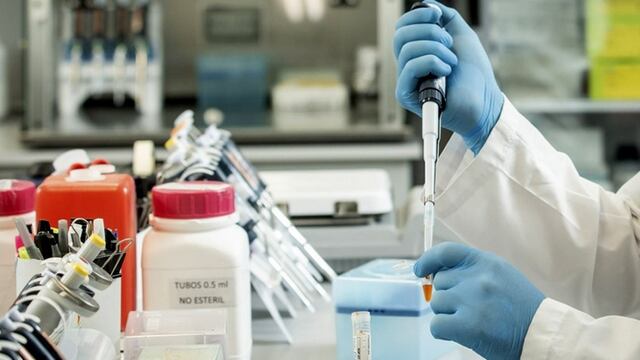 El tratamiento se aplica a pacientes de curso mayormente severo de Covid-19. El medicamento se llama CoviFab (con ese nombre fue registrado el suero equino).