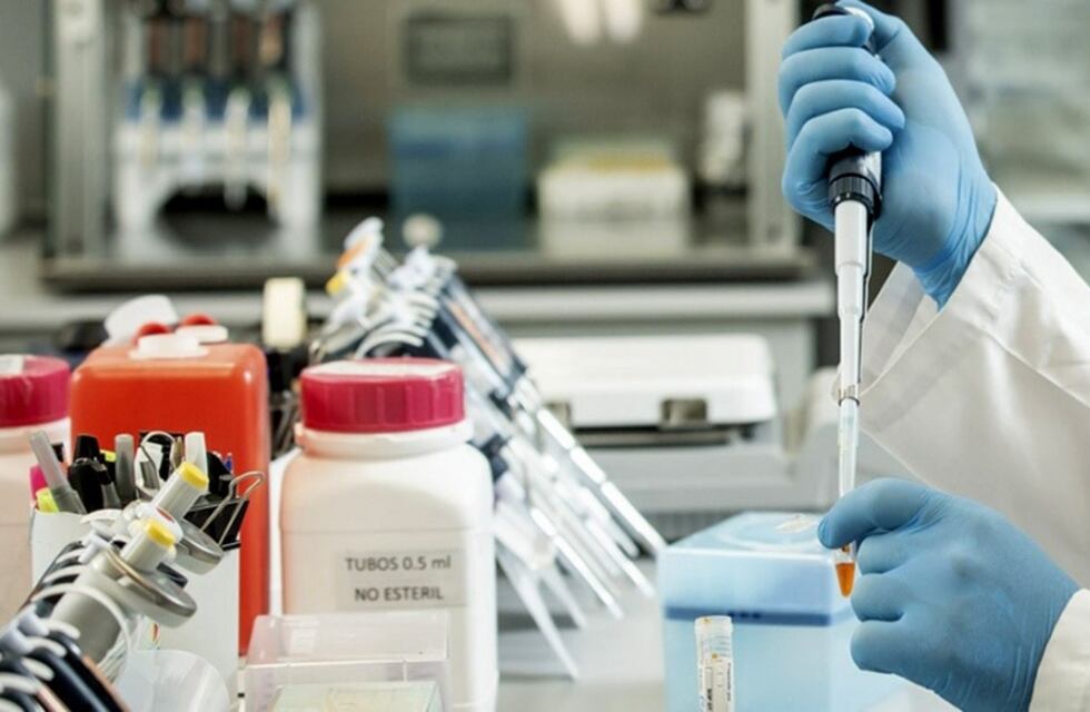 Covid-19: más de 300 pacientes ya fueron tratados con suero equino