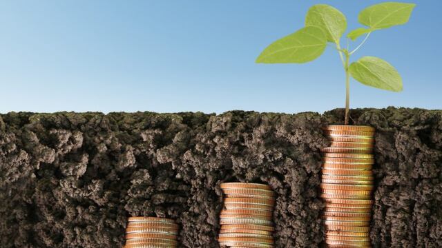 Negocios agropecuarios