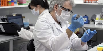 Suero equino (Foto: JUAN MABROMATA / AFP)