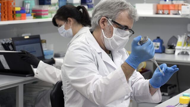 Suero equino (Foto: JUAN MABROMATA / AFP)