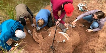 Descubren restos de un milodón cerca del Salto Ander Egg: un hallazgo de alto valor paleontológico.