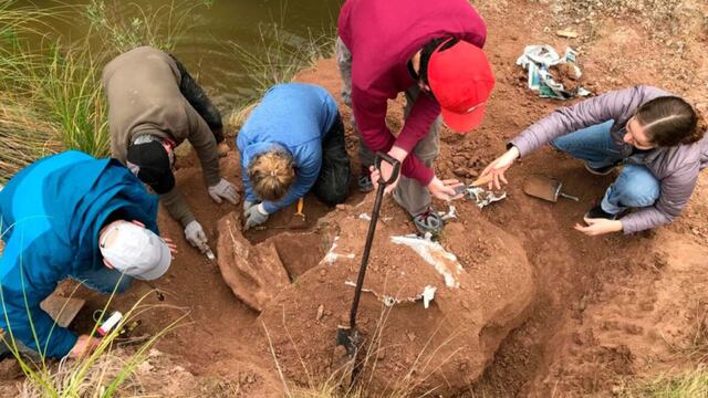 Descubren restos de un milodón cerca del Salto Ander Egg: un hallazgo de alto valor paleontológico.