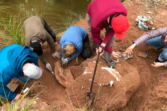 Descubren restos de un milodón cerca del Salto Ander Egg: un hallazgo de alto valor paleontológico.