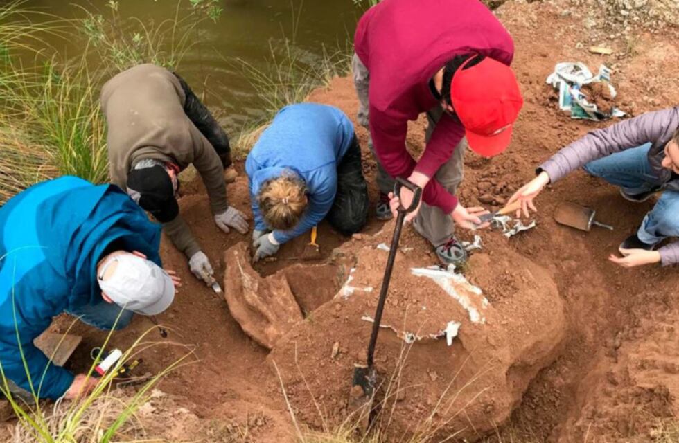 Descubren restos de un milodón cerca del Salto Ander Egg: un hallazgo de alto valor paleontológico