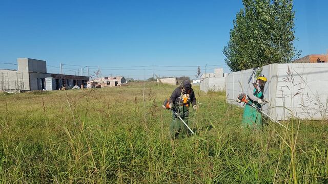 Desmalezados en Rafaela