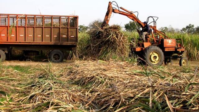 Notable avance en la zafra 2024