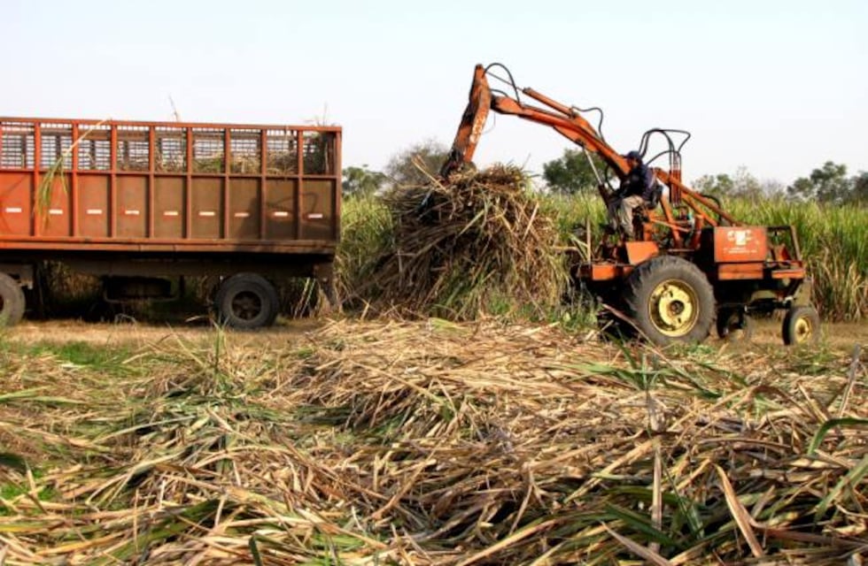 Tucumán cierra una zafra histórica con récord de molienda y exportaciones