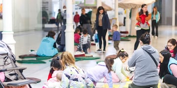 "Experimenta Naturaleza" en el Viejo Mercado
