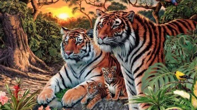 Acertijo visual: ¿cuántos tigres se esconden en la imagen? .