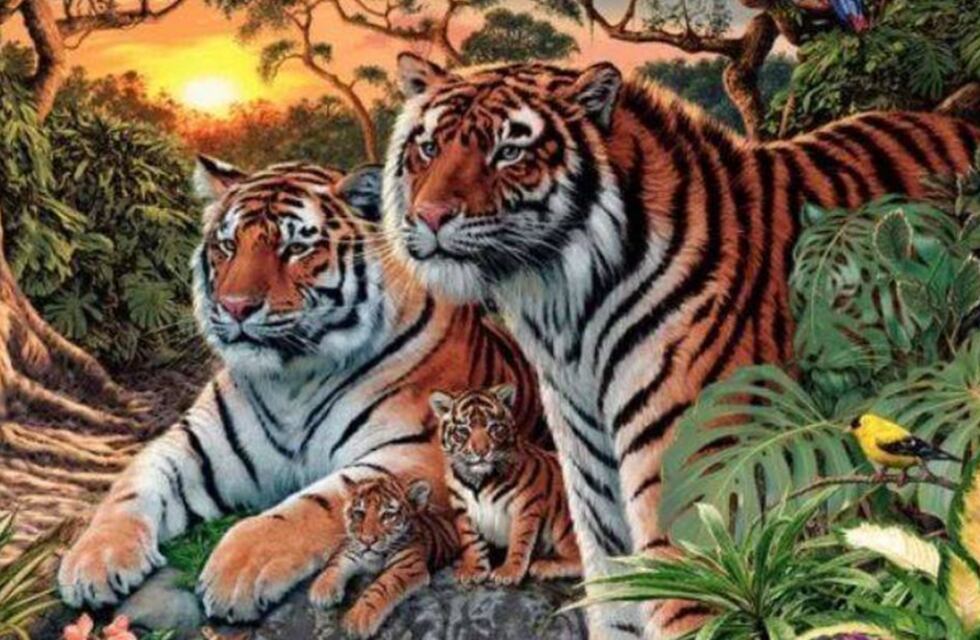Acertijo visual para expertos: ¿cuántos tigres se esconden en la imagen?