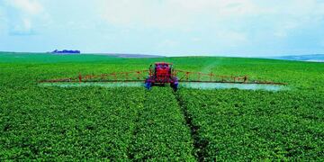 El consumo de fertilizantes continuará y aumentará para garantizar la seguridad alimentaria mundial