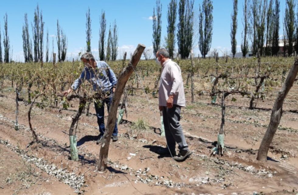 Hasta el miércoles los contratistas puede adherir al Fondo Compensador Agrícola